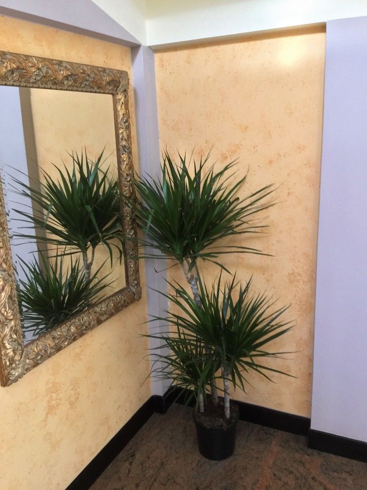 Hotel Marco Polo Self Check-In Bologna Luaran gambar